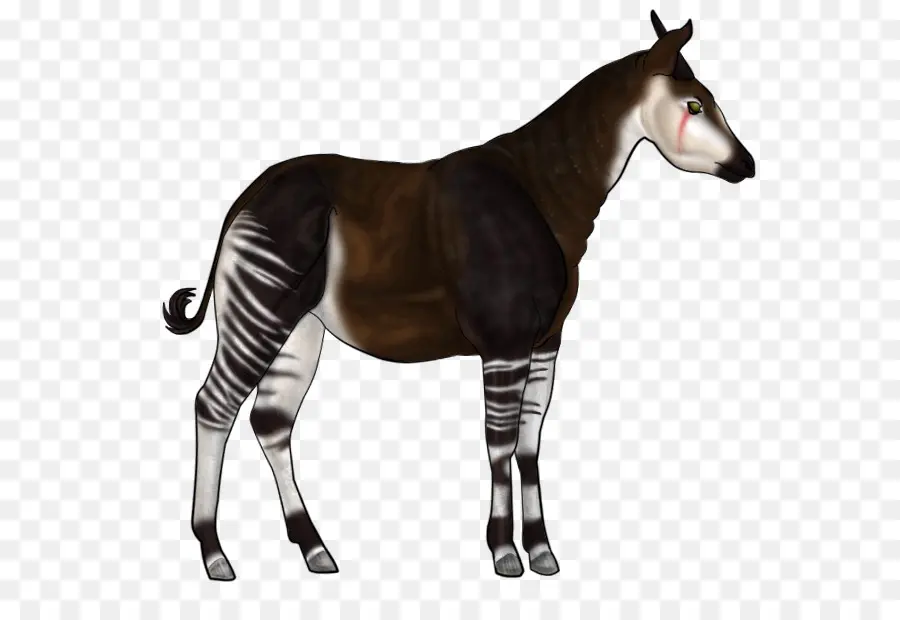 Quagga，Extinguido PNG