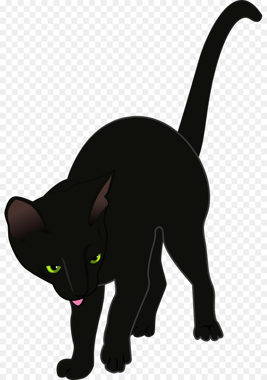 Gato，Negro PNG