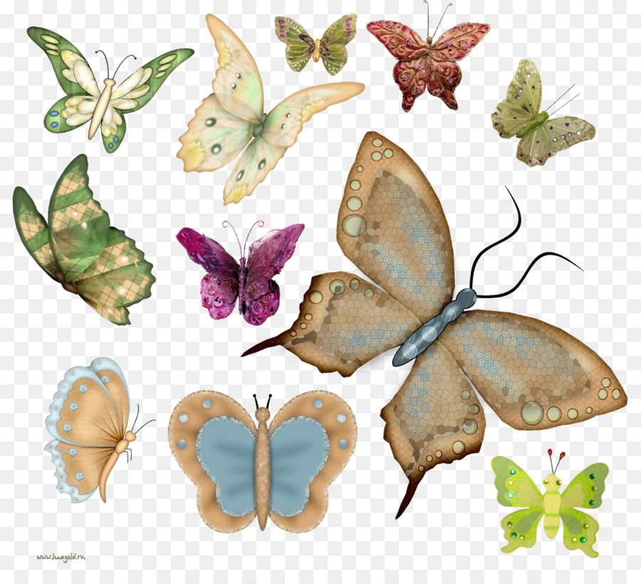 Mariposas Con Pincel，Gusano De Seda PNG