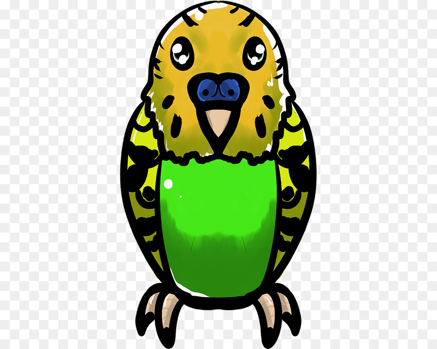 Periquito，Loro PNG