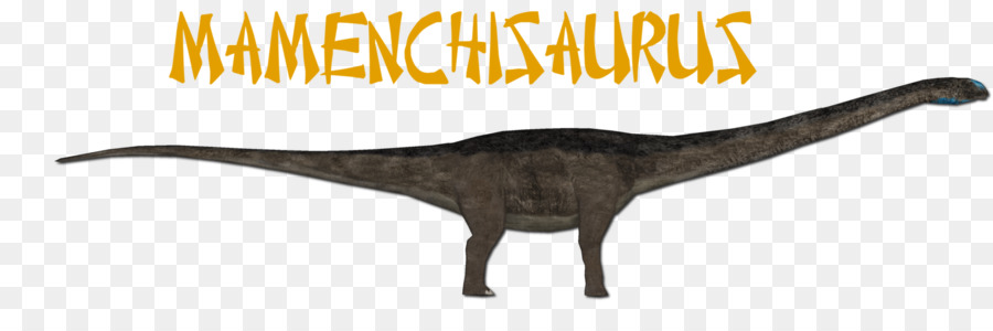 Dinosaurio，Tai Chi PNG