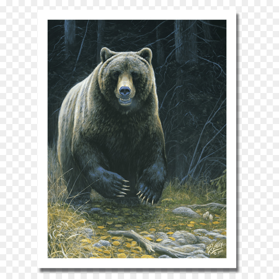 Oso Grizzly，Oso PNG