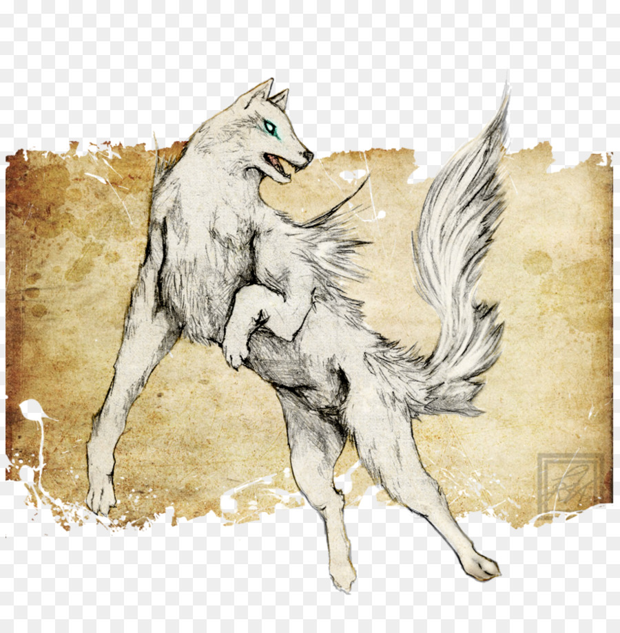 Coyote，Lobo Gris PNG
