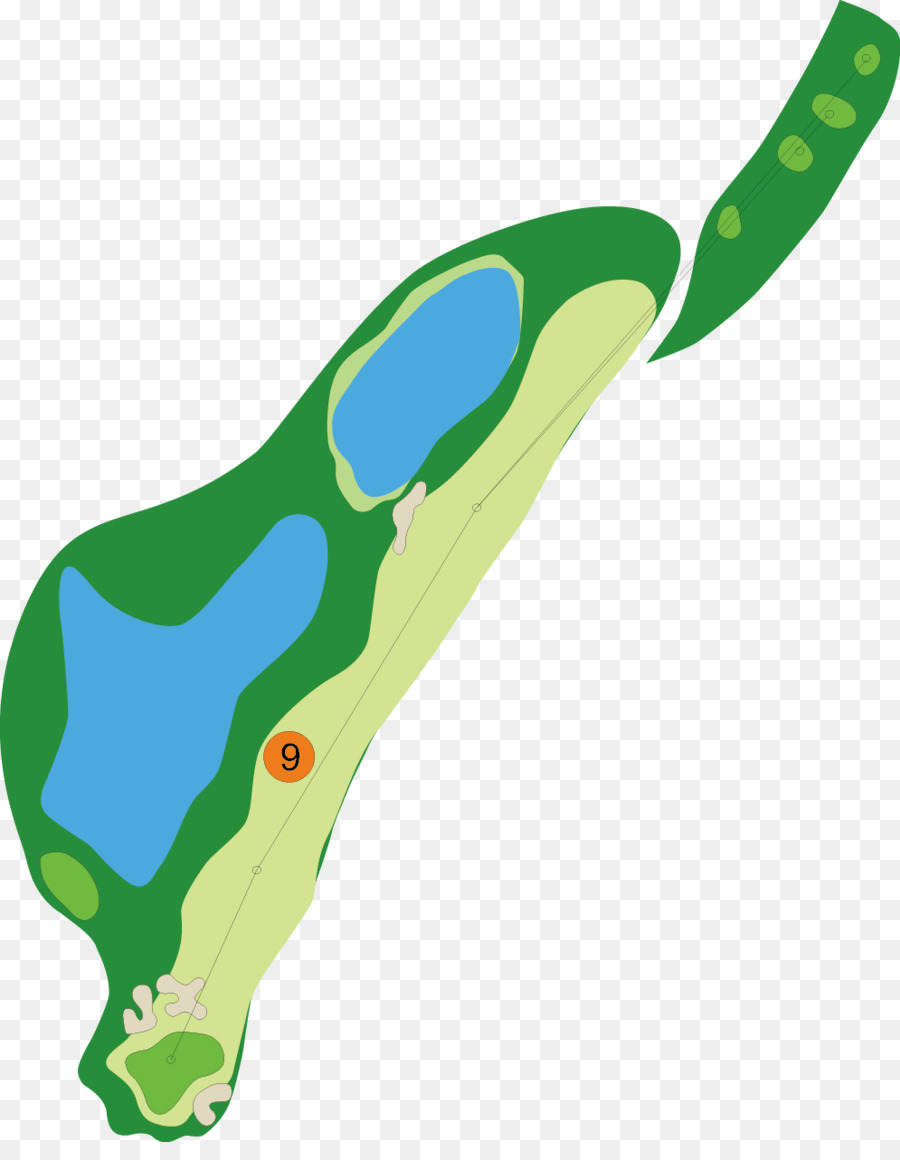 Golf，Club De Golf Xuyang PNG