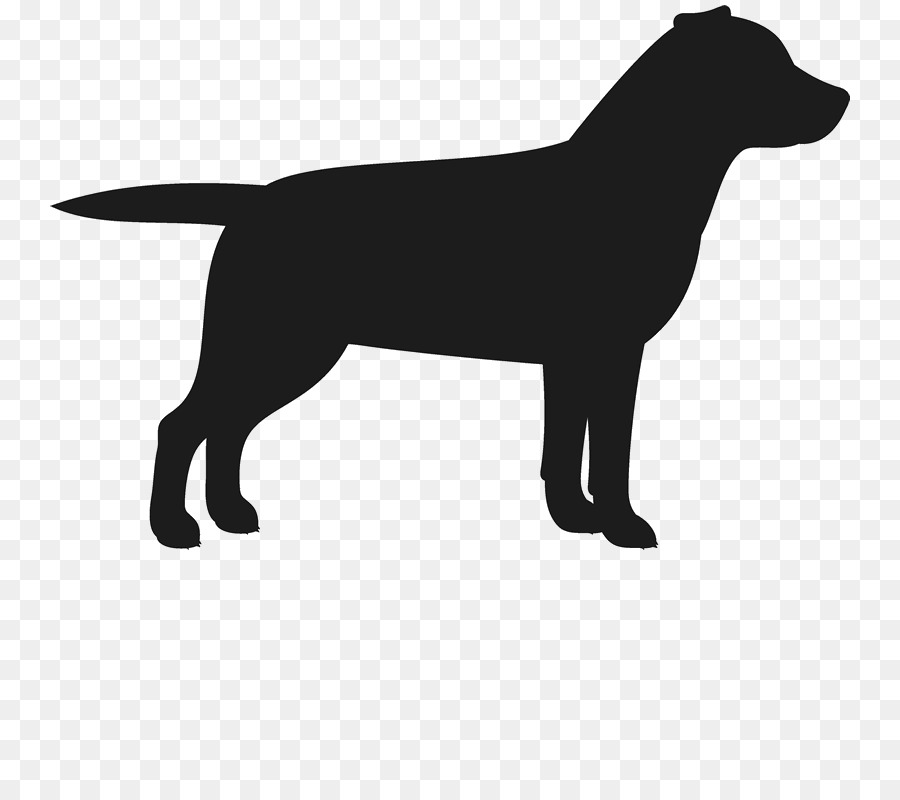 Contorno Del Perro，Mascota PNG