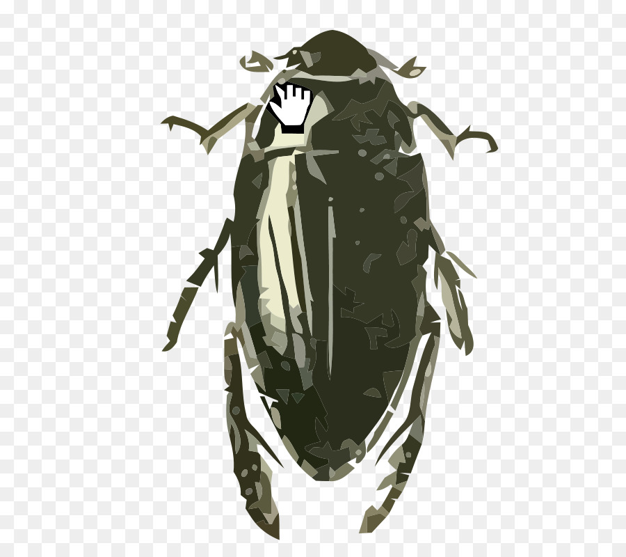 Escarabajo，Hydrophilus PNG