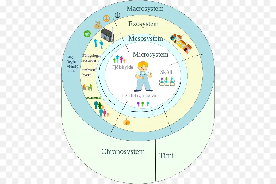 Teoría De Sistemas Ecológicos，Teoría De Sistemas PNG