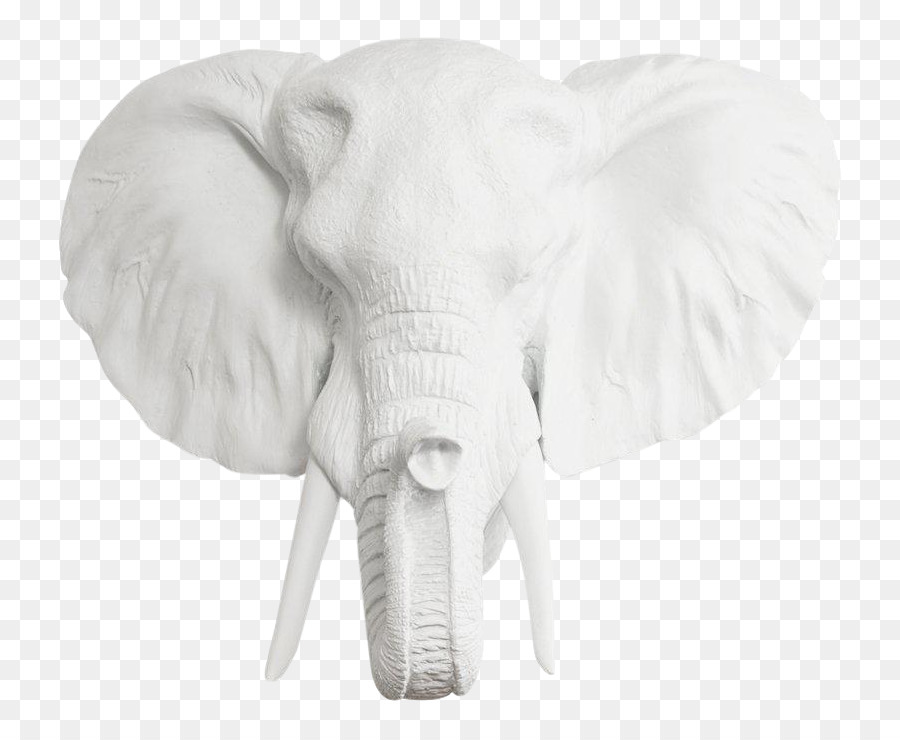 Elefantes，Elefante Africano PNG