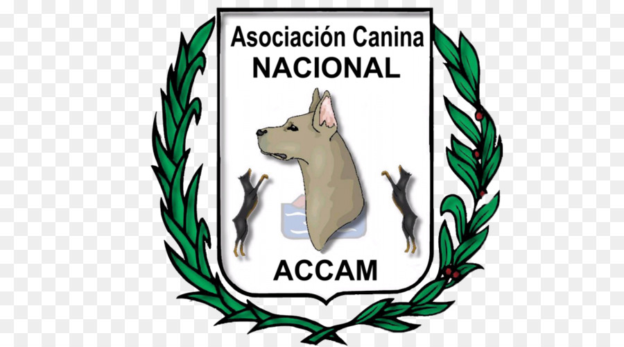 Perro，Asociacion Canina Nacional Accam PNG