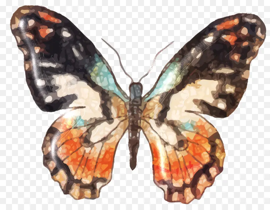 Mariposa Colorida，Vistoso PNG