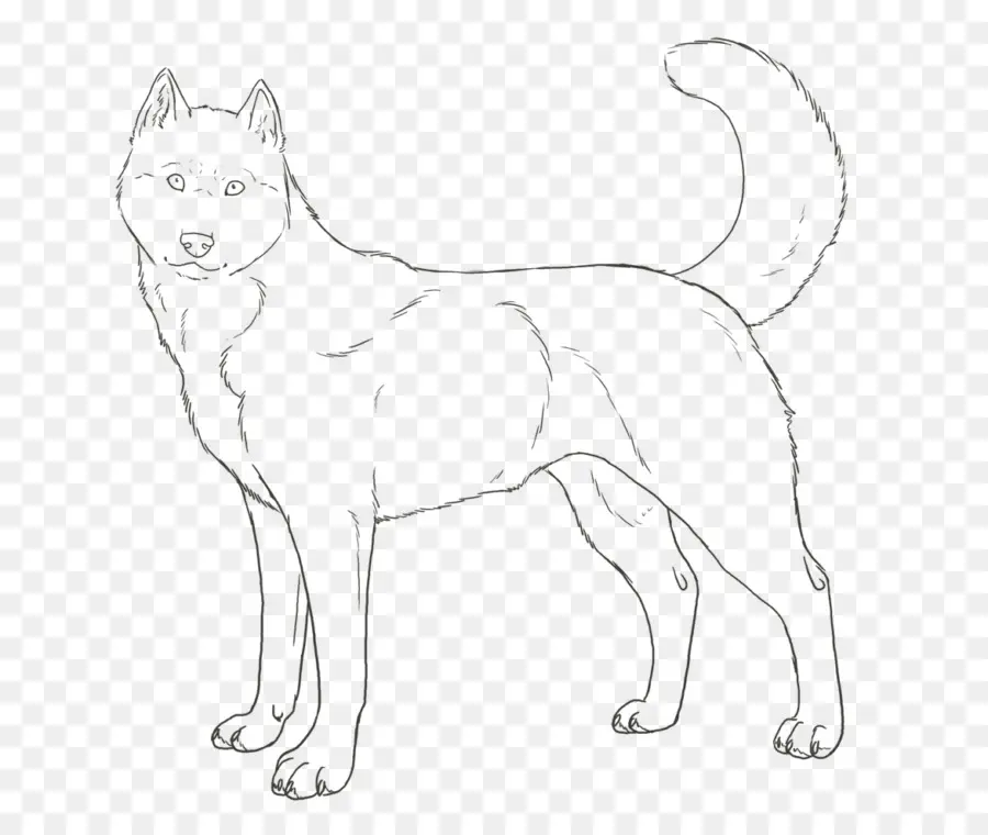 Husky Siberiano，Cachorro PNG