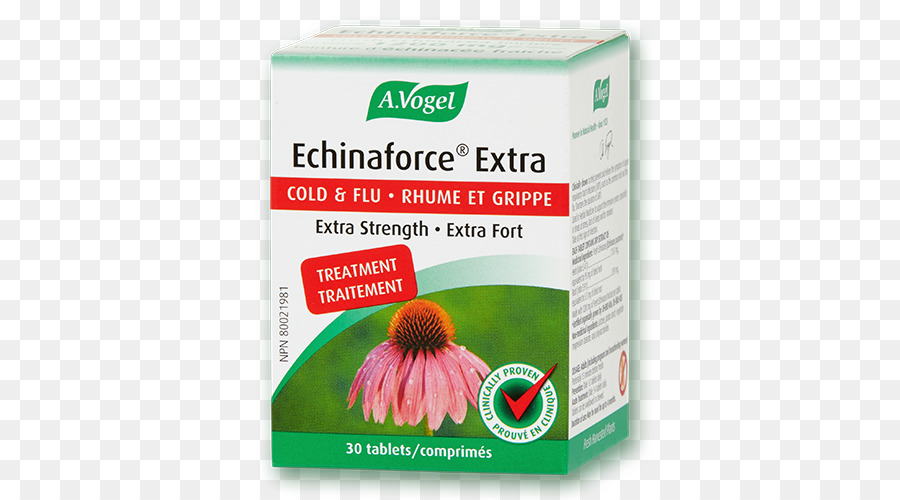 Echinaforce，Resfriado Común PNG