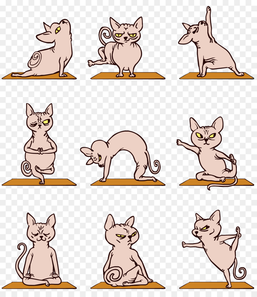 Gato Sphynx，Gato Siames PNG