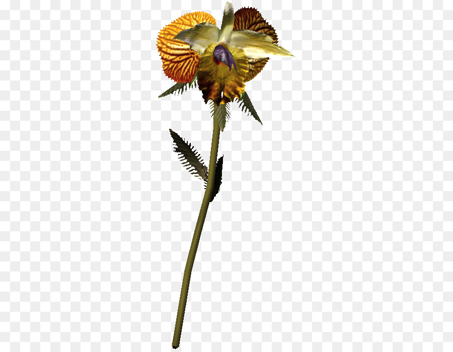 Insecto，Cortar Flores PNG