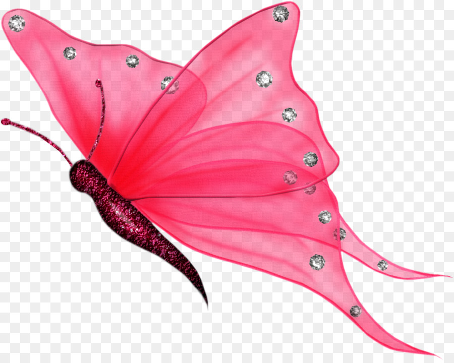 Mariposa，Pdf PNG