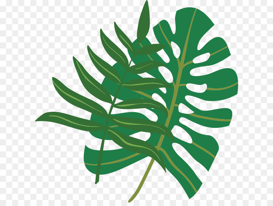 Alimento，Hoja PNG