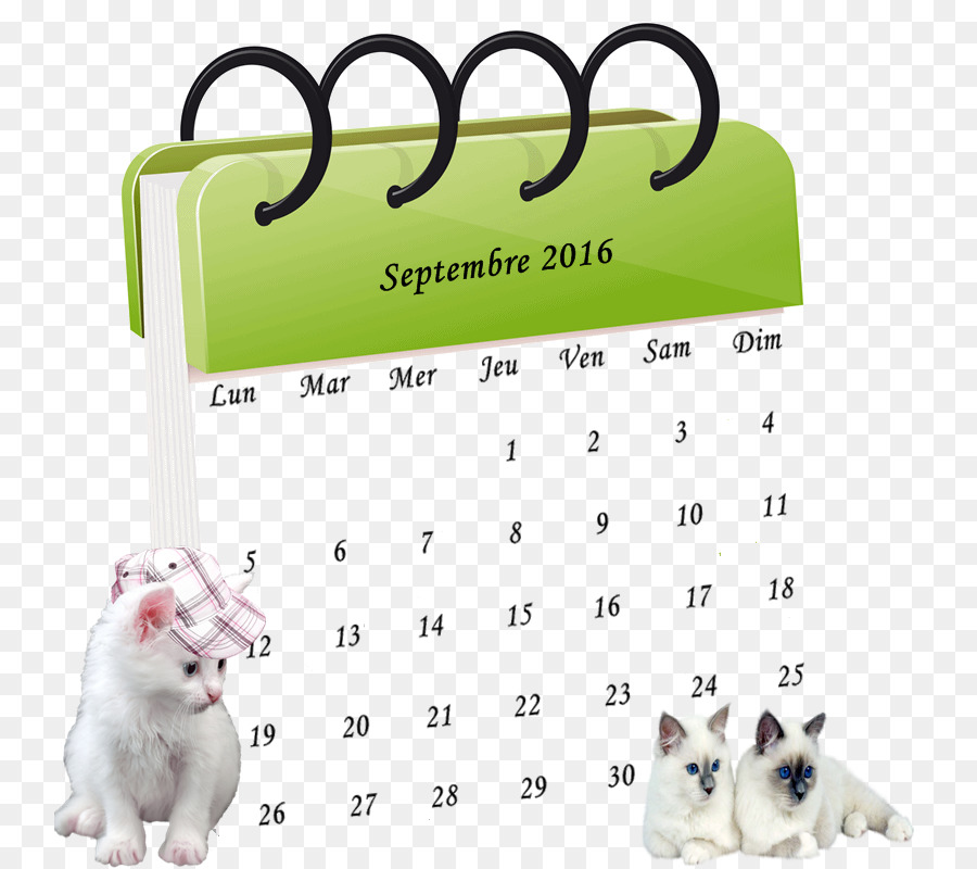 Calendario，Conférenceatelier PNG