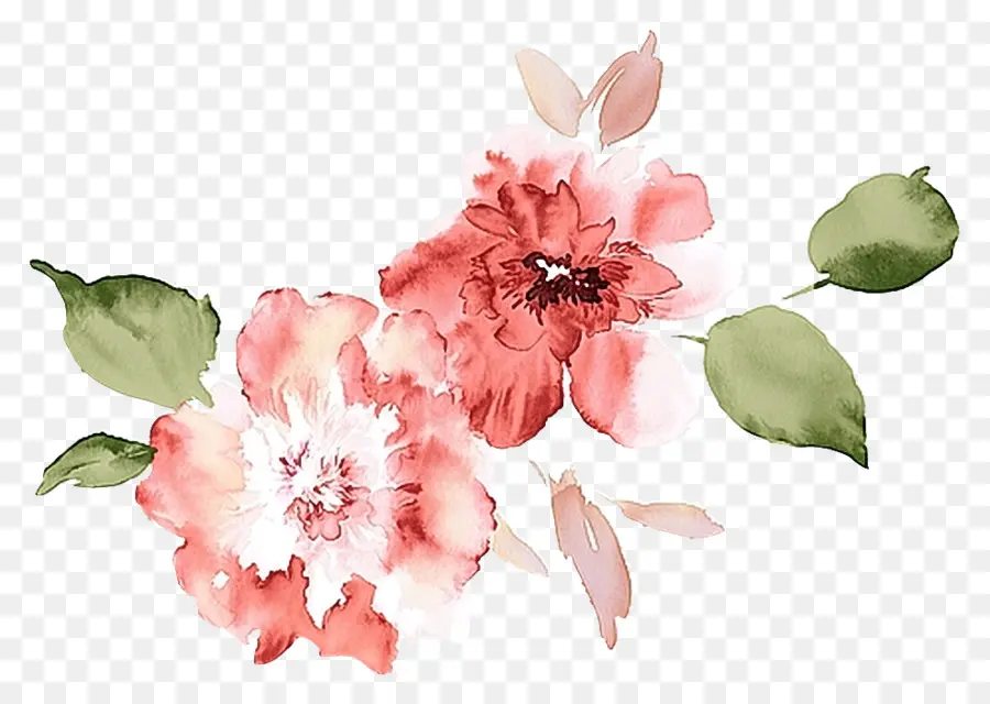 Flores De Acuarela，Pintura De Acuarela PNG