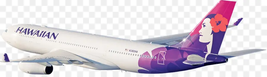 Avión，Vuelo PNG