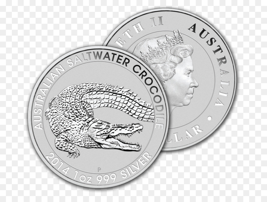 Moneda，Plata PNG