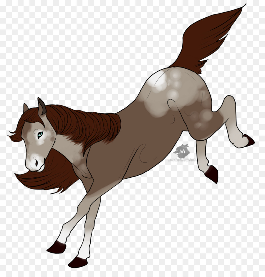 Caballo Corriendo，Animal PNG