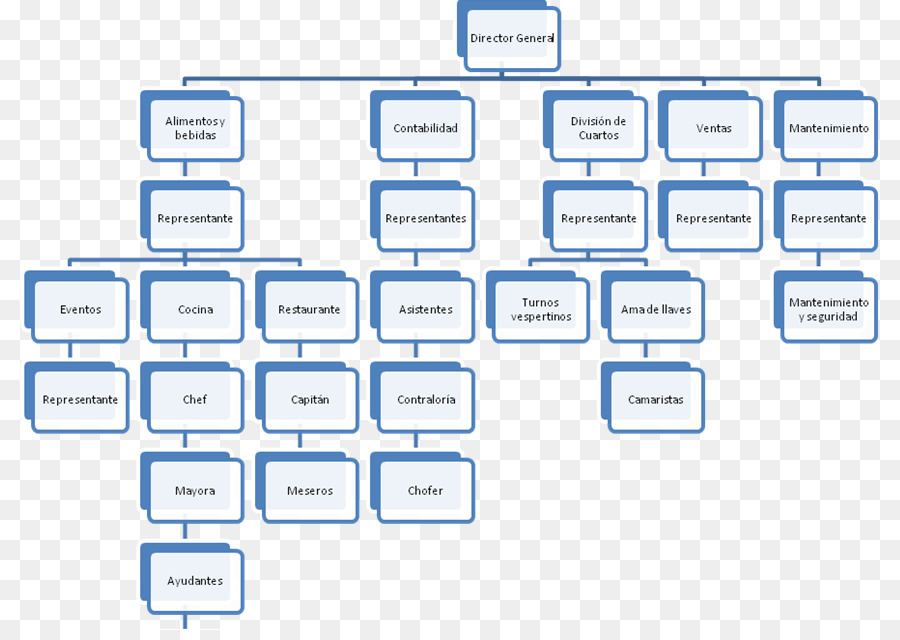 Organigrama，Organización PNG