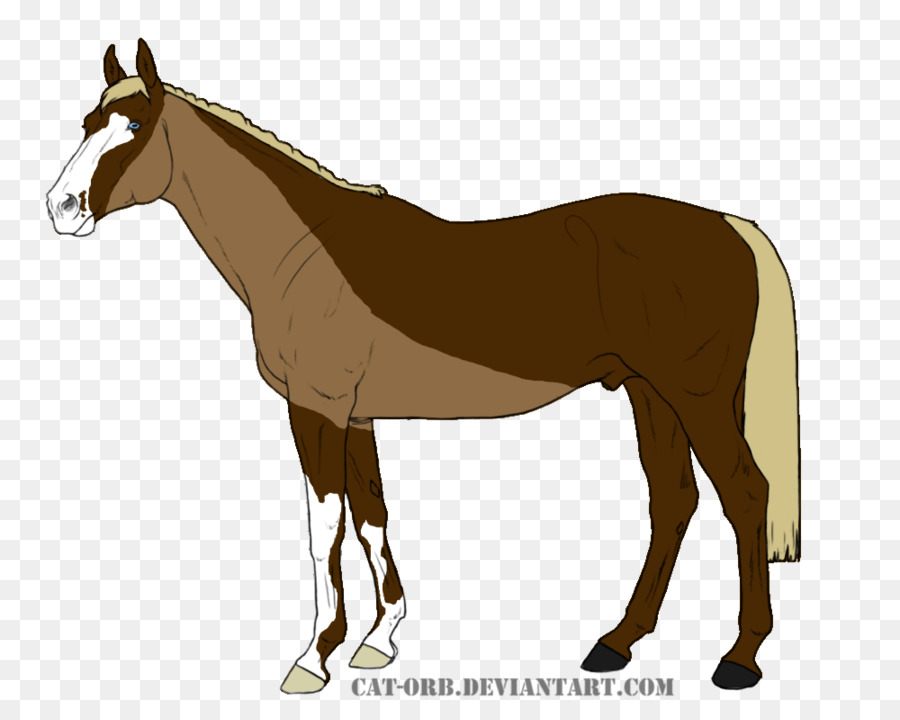 Mula，Caballo PNG