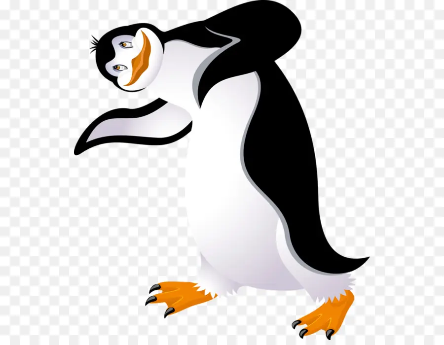 Pingüino，Pájaro PNG