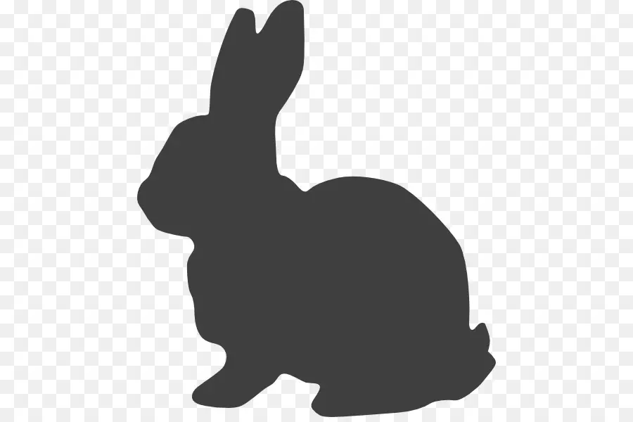 Liebre，Conejo De Pascua PNG