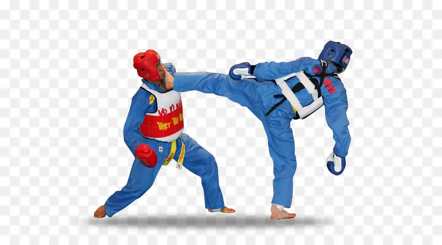 Vovinam，Artes Marciales PNG