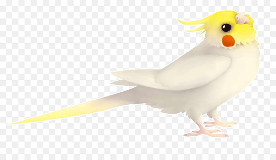 Pájaro Amarillo，Perca PNG