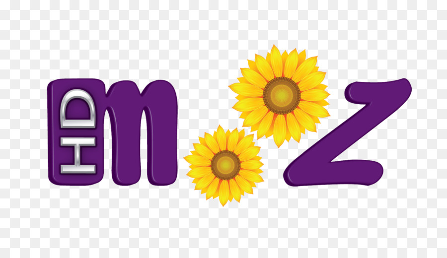 Común De Girasol，Mooz Hd PNG