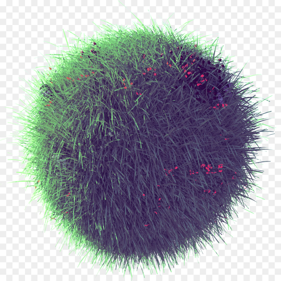 Pelo，Césped PNG