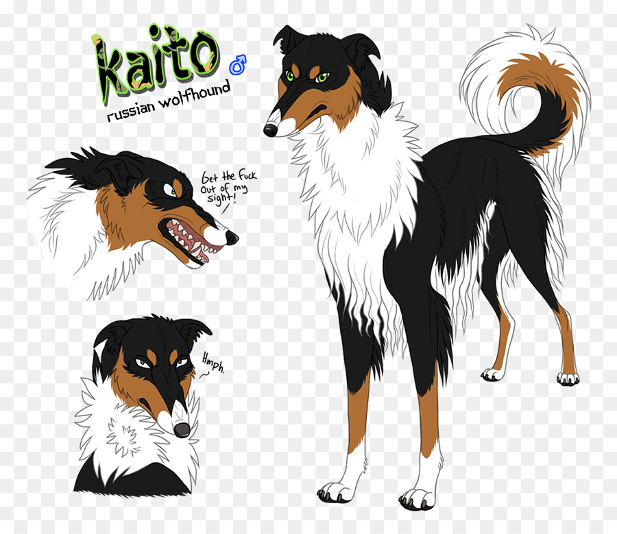 Collie áspero，Perro Compañero PNG