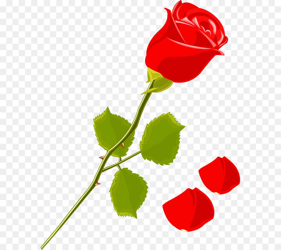 Rosa，Rojo PNG