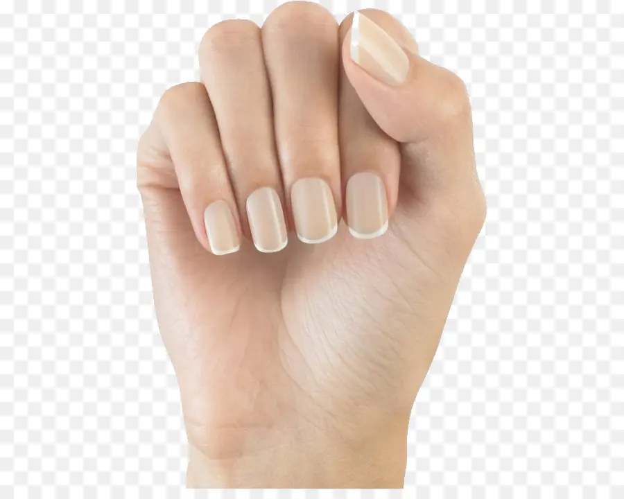 Uñas Postizas，Clavo PNG