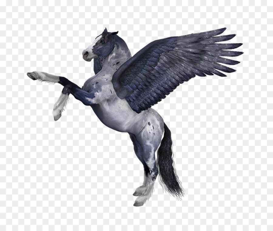 Caballo，Pegaso PNG