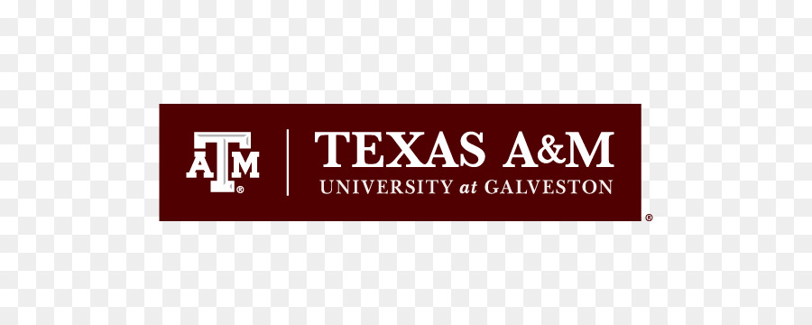 Universidad Texas A & M，Texas Am Aggies Fútbol PNG