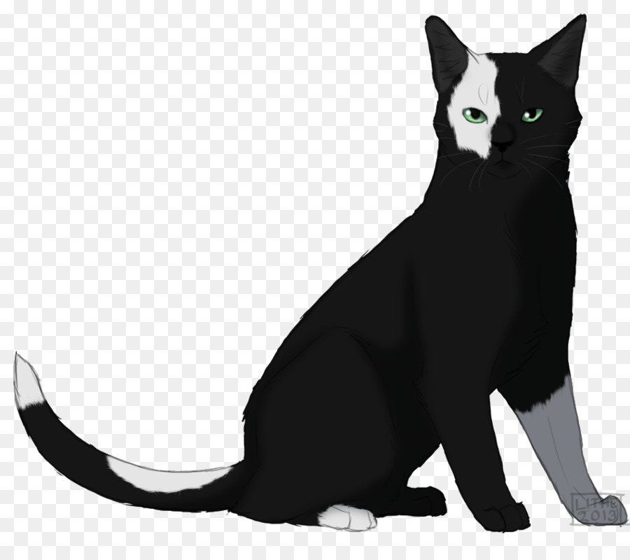 Gato De Bombay，Gato Negro PNG