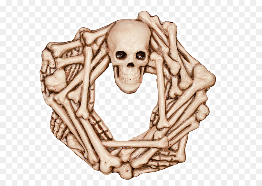 Esqueleto，Mandíbula PNG