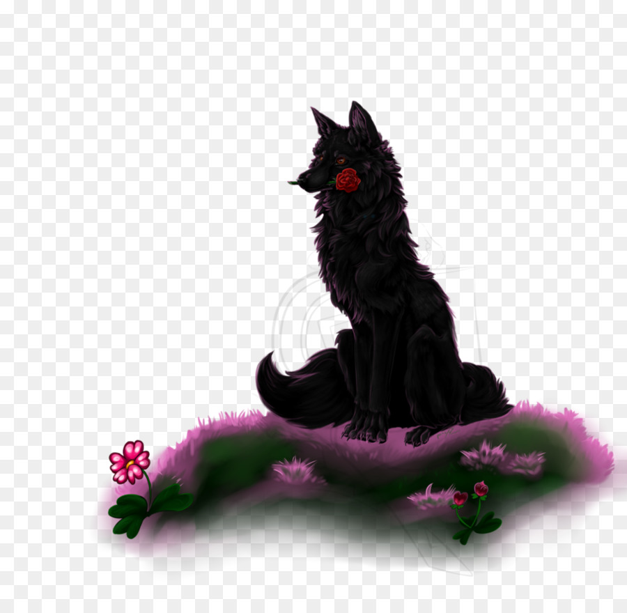 Gato Negro，Gatito PNG