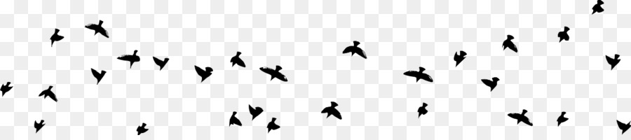 Aves，Vuelo PNG