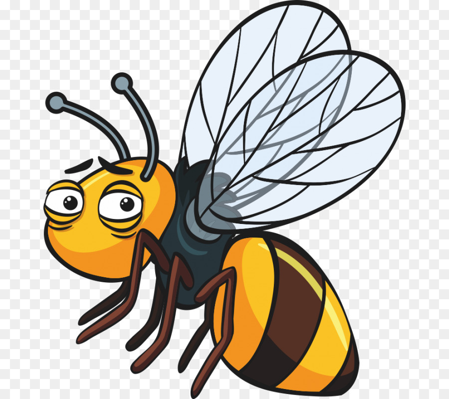 Abeja，Insecto PNG