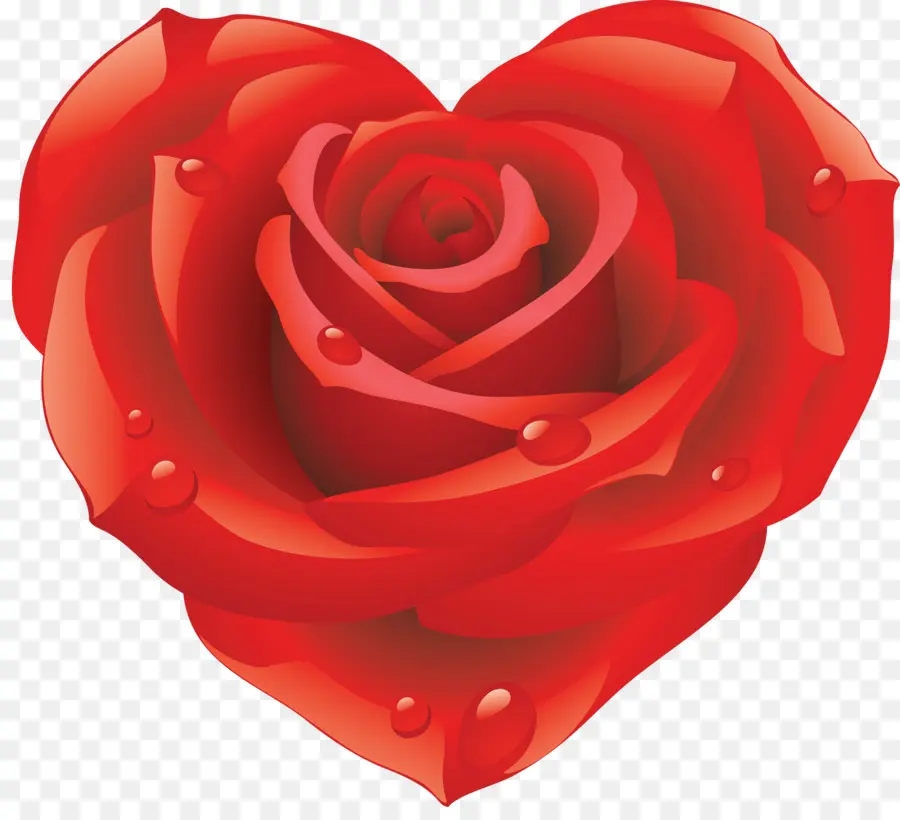 Rosa Roja，Corazón PNG