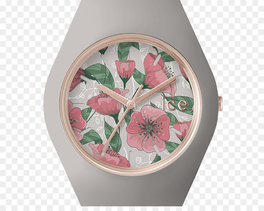 Mirar，Reloj De Hielo PNG