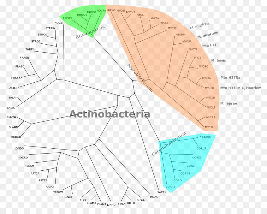 Miniatura，Diagrama PNG