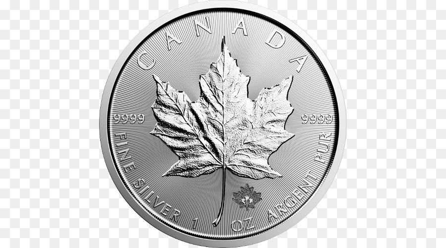 Canadá，Hoja De Arce Plateado Canadiense PNG