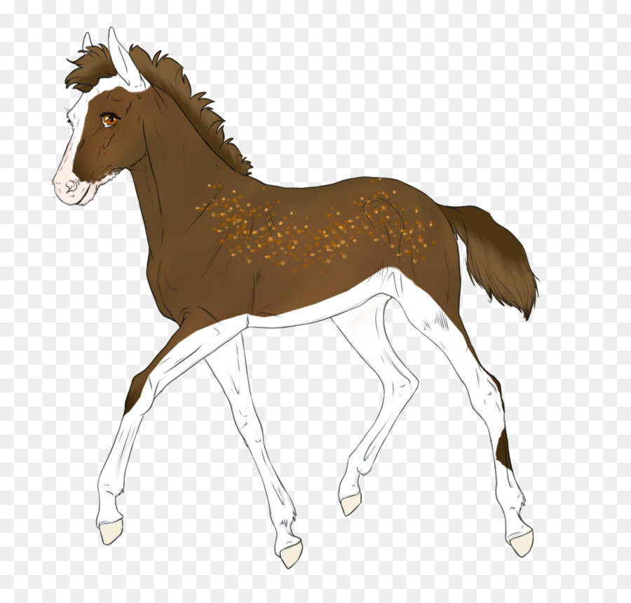 Caballo，Equino PNG