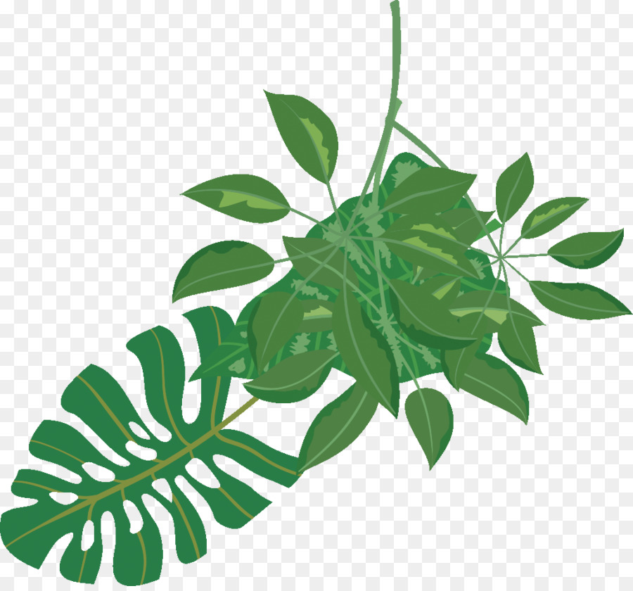 Hojas Verdes，Planta PNG