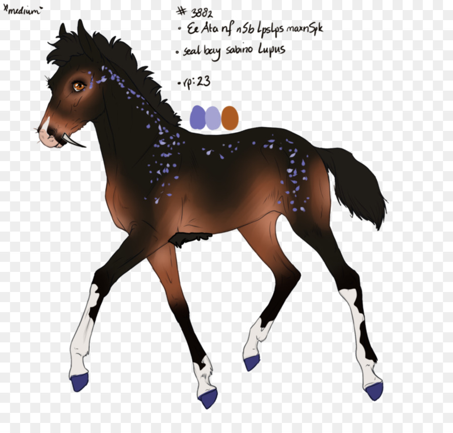 Caballo，Dibujo PNG